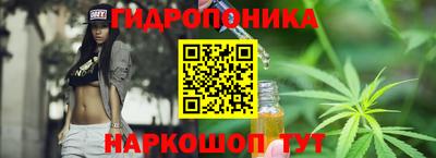 спайс Аргун