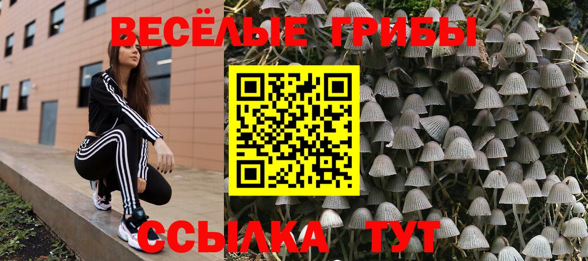Где найти наркотики?  Борзя  Вход с VPN  COCAIN  Меф кристаллы  ГАШ 