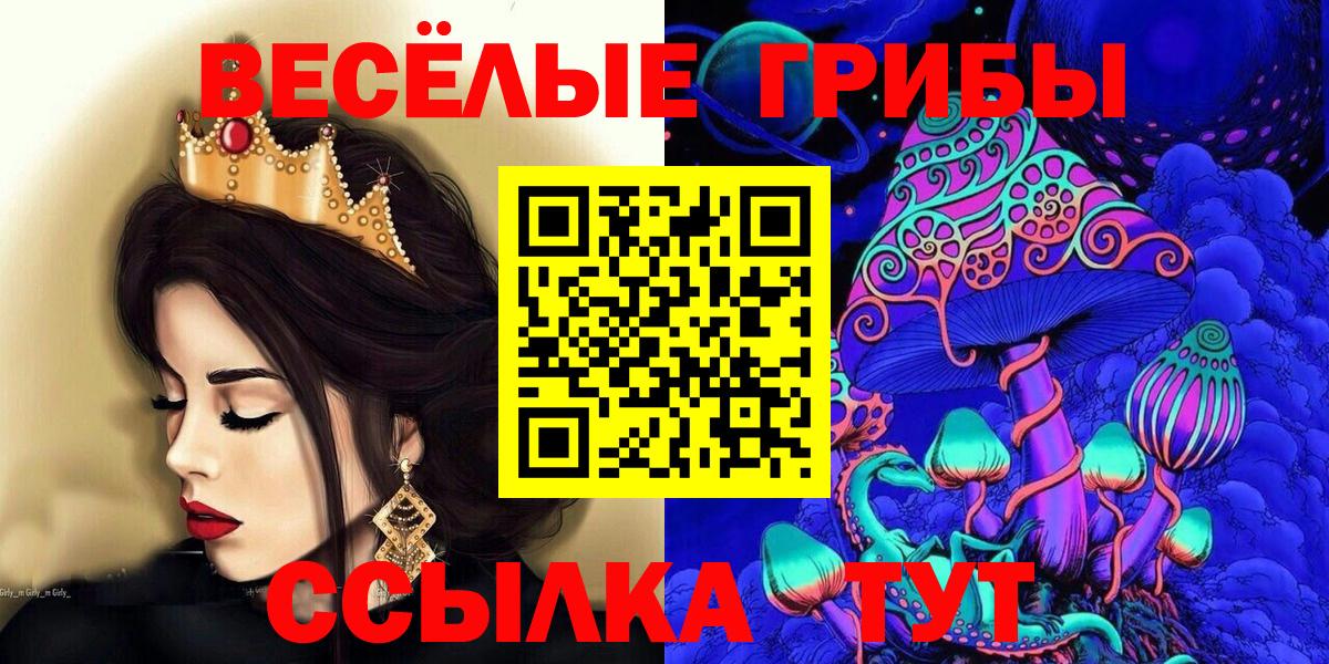 Борзя  Галлюциногенные грибы мицелий  где можно купить наркотик  Псилоцибиновые грибы Cubensis  Вход с VPN 