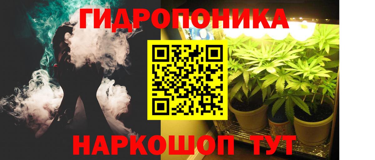 Бошки марихуана VHQ  Вход с VPN  Бошки Шишки Bruce Banner  Борзя 